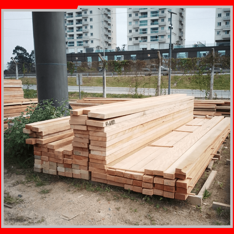 IEAW N1980 NORTE SUL MADEIRAS (6)