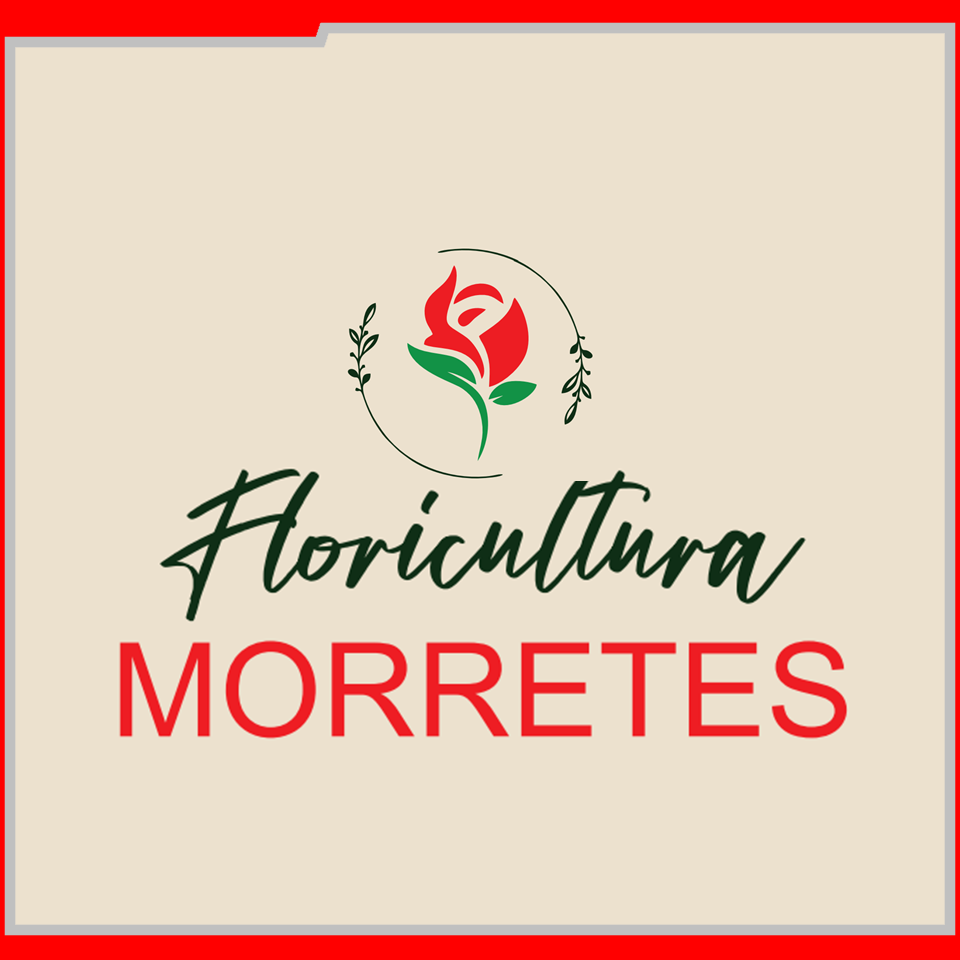 IEAW N2057 FLORICULTURA MORRETES (BANNER 1)